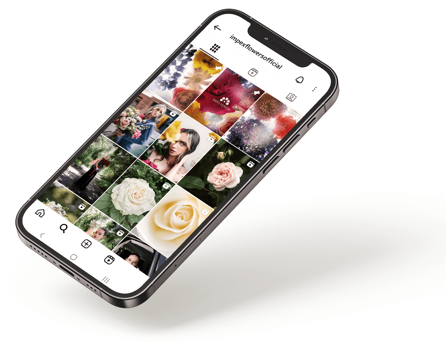 Impex Follow On Instagram